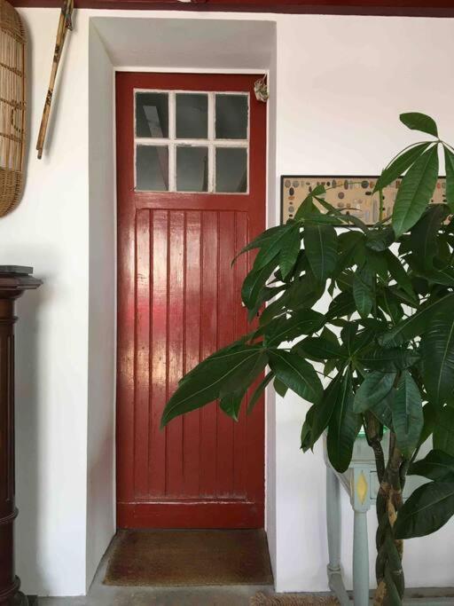 Appartement En Rez De Jardin シブール エクステリア 写真